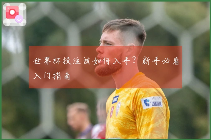 世界杯投注该如何入手？新手必看入门指南