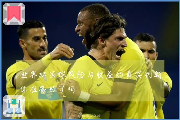 世界杯买球风险与收益的真实判断你准备好了吗