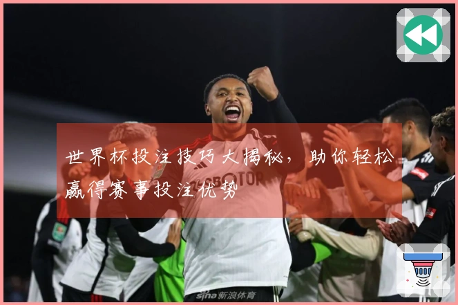 世界杯投注技巧大揭秘，助你轻松赢得赛事投注优势