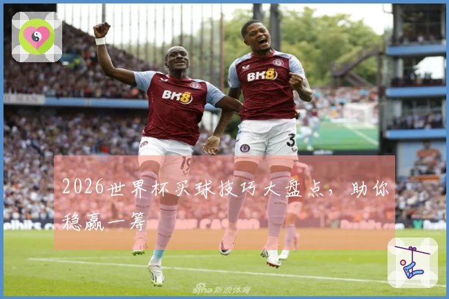 2026世界杯买球技巧大盘点，助你稳赢一筹