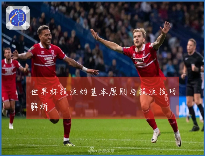 世界杯投注的基本原则与投注技巧解析