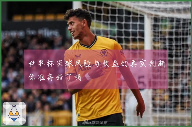 世界杯买球风险与收益的真实判断你准备好了吗