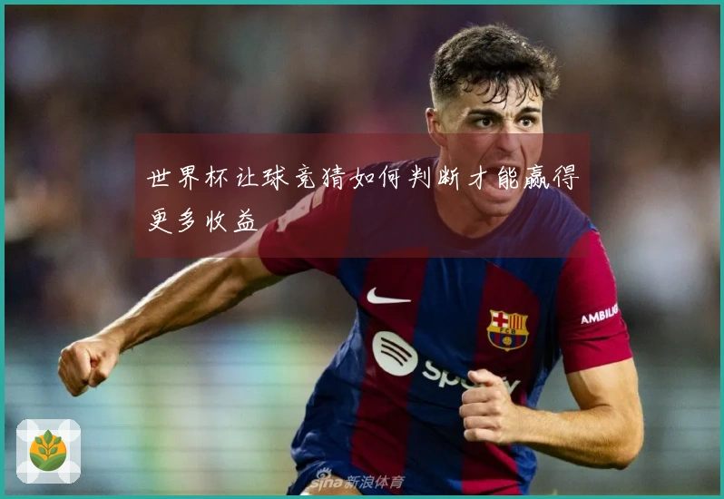 世界杯让球竞猜如何判断才能赢得更多收益