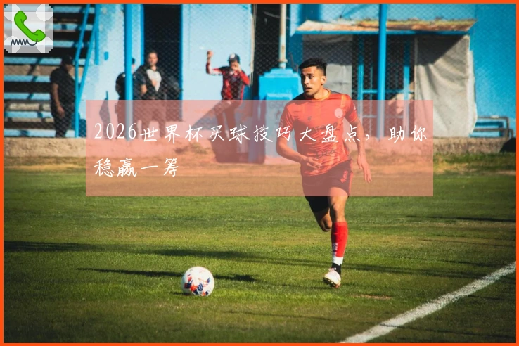 2026世界杯买球技巧大盘点，助你稳赢一筹