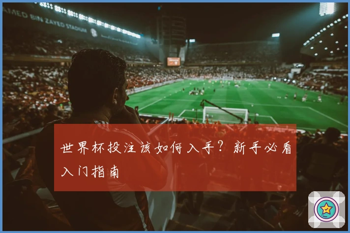 世界杯投注该如何入手？新手必看入门指南
