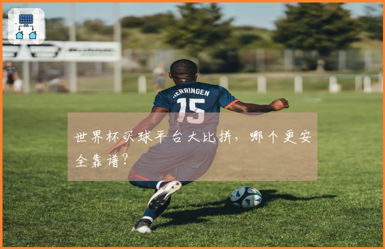 世界杯买球平台大比拼，哪个更安全靠谱？